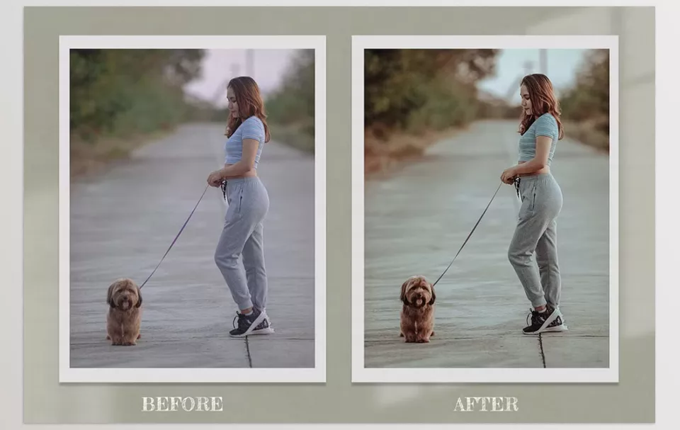15 Furry Friends lightroom presets - A cozy edit that highlights every soft fur detail and the gentle light in your pet’s eyes.
