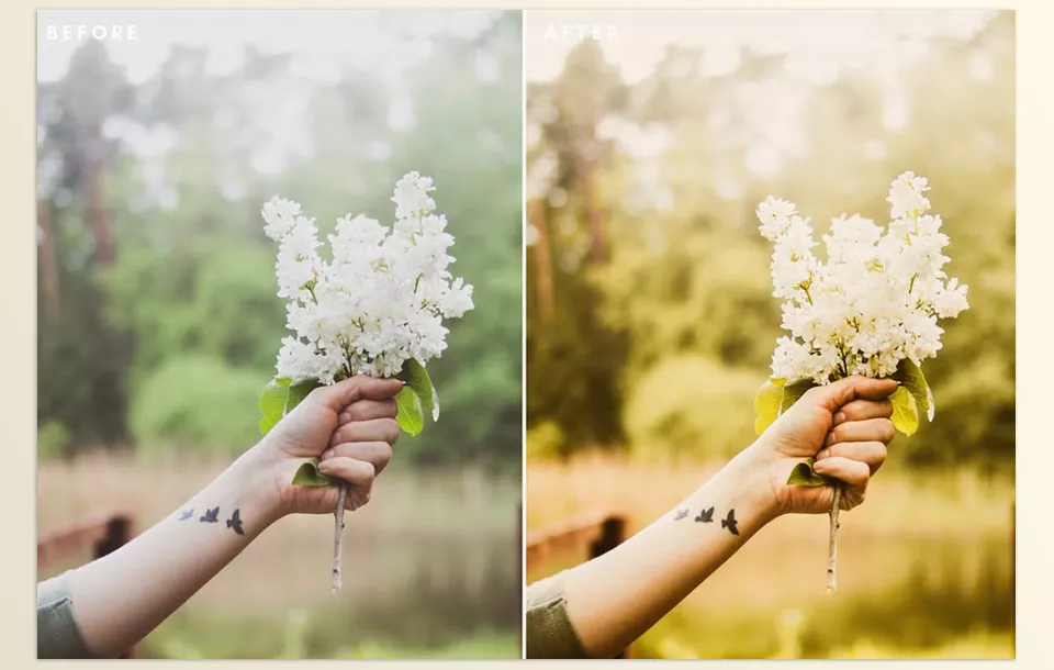 CreativeMarket - Golden Hour Lightroom Presets - Perfectly reshape the curves dials of the Golden Hour and Golden Sun presets to fit appropriately within travel images such as portraits and landscapes.