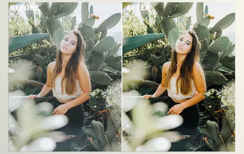 Film Presets Bundle For Lightroom - Transform travel shots into timeless memories with rich, moody tones!