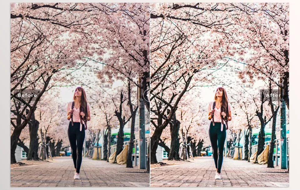 Creative Market - Busan Pro Lightroom Presets - Transform your photo with natural tones and a subtle, professional finish that highlights every detail.