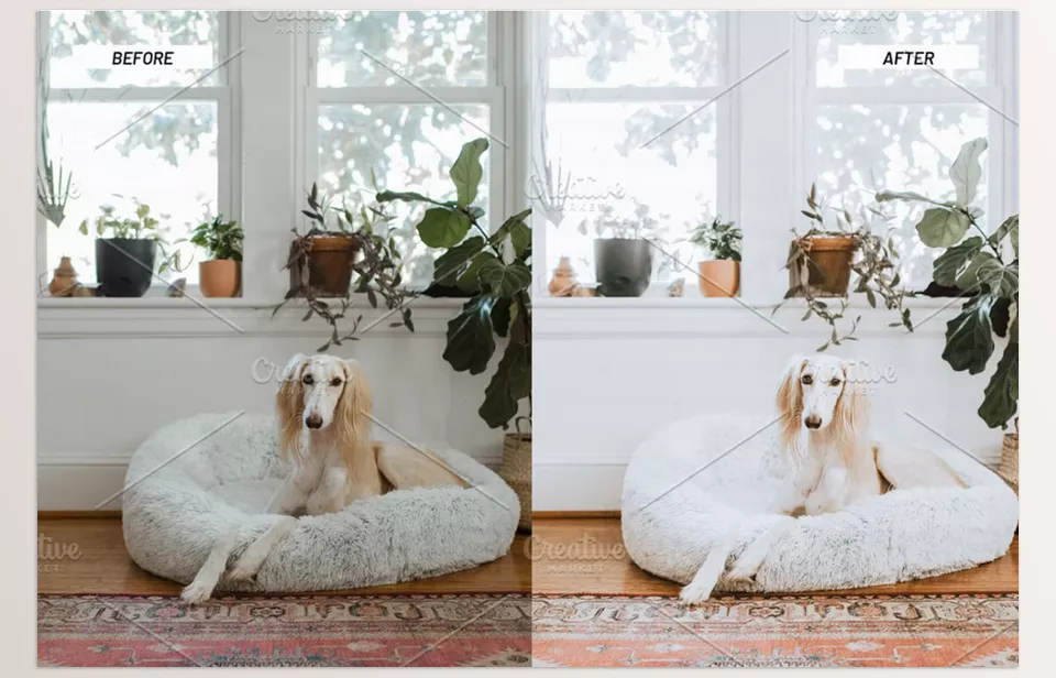 Creative Market - Lightroom Presets Home and Interiors - Bring out the natural light and true colors in your home photos without losing clarity or texture. Create a fresh, clean look effortlessly on any device.