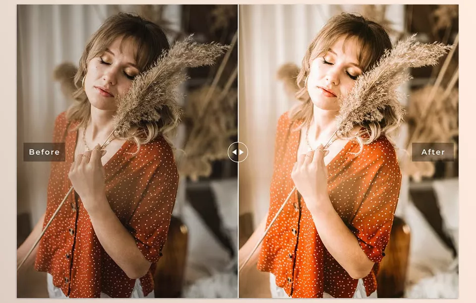 Creative Market - Academia Pro Lightroom Presets - These presets are designed to naturally enhance your photographs, creating a consistent, recognizable style with a beautifully captivating mood.