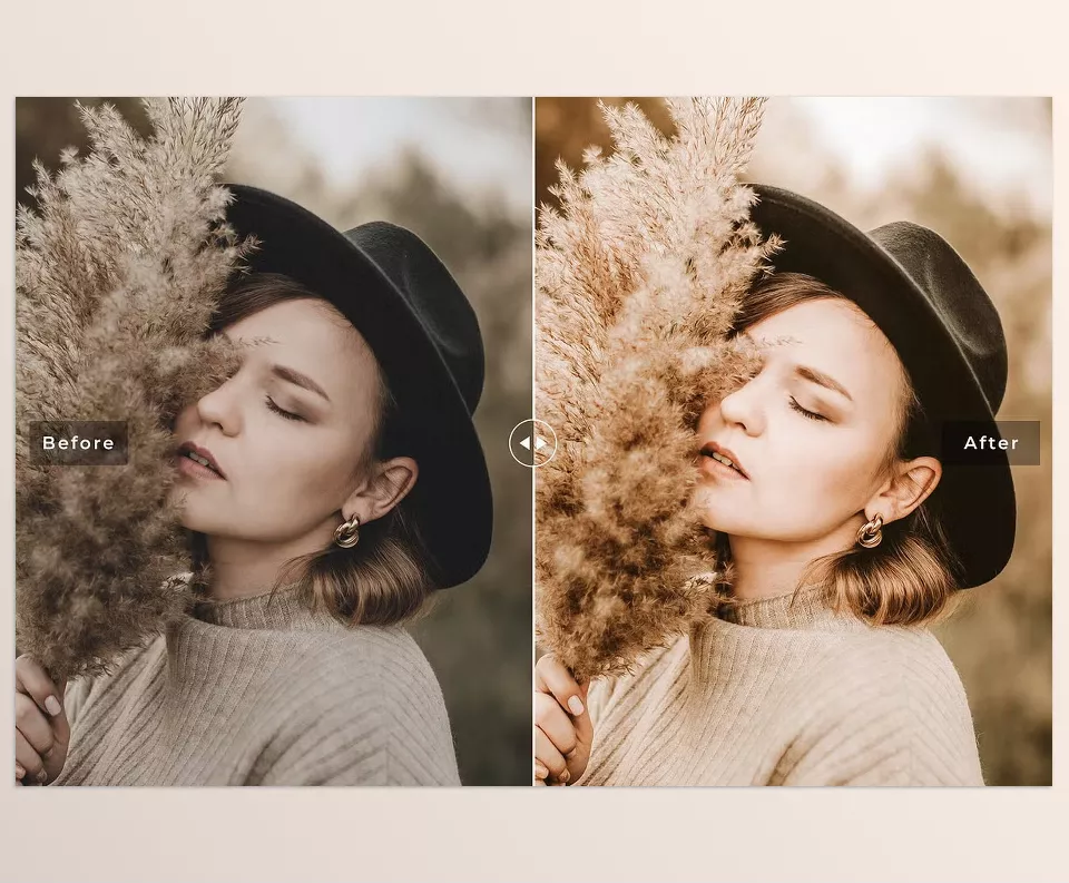 Creative Market - Academia Pro Lightroom Presets - Effects that are easy to customize.