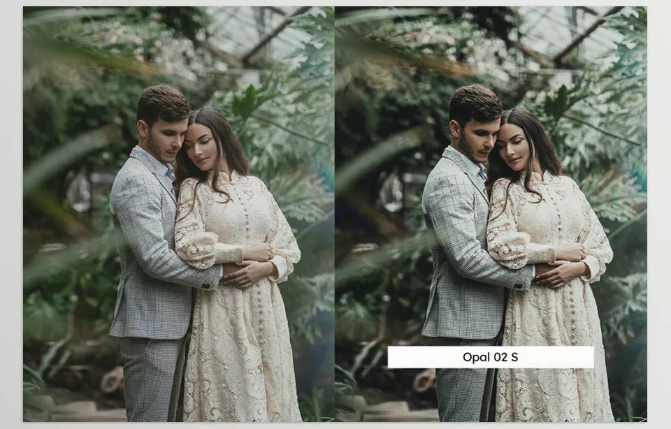 Artstation - 20 Basil LUTs and Lightroom Presets - The lush color depth in this image endows an otherwise mundane moment with a dark and moody visual story.