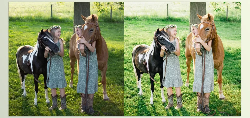 Night &amp; Day Lightroom Desktop Presets - Mastin Magic Toolkit