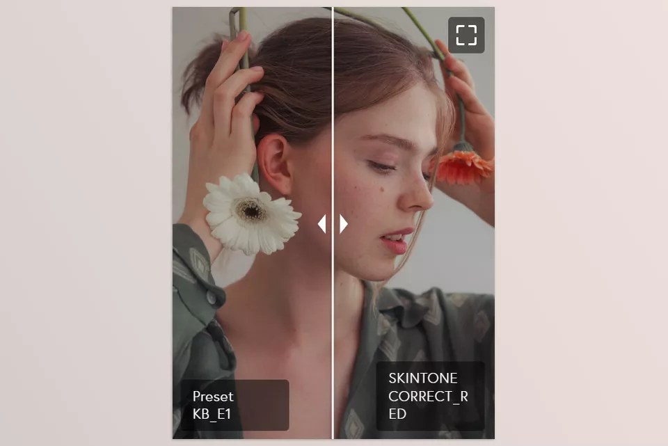 Adaptive Toolpack for Lightroom and Photoshop - Achieve professional-level editing speed with presets designed to fine-tune backgrounds and subjects in seconds.