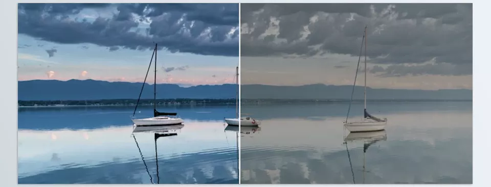 D Log Nature Color LUTs - Diverse Color Palette
