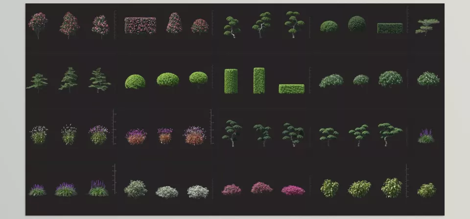 Plant Models - Includes 12 species, total 72 single models.