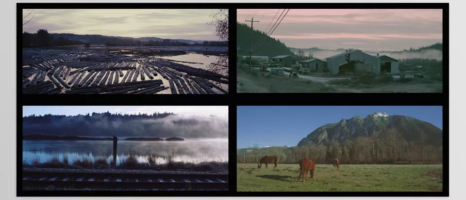 Tropic Colour - Nature LUTs - Breathe life into nature shots with stunning cinematic colour.