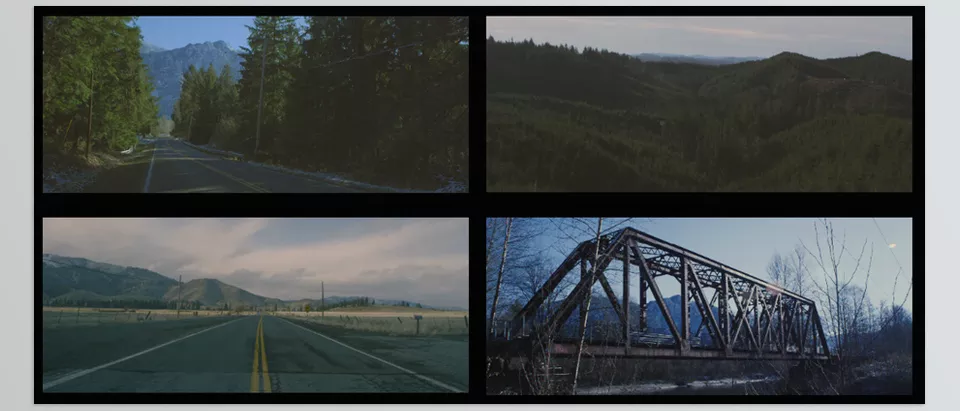 Tropic Colour - Nature LUTs - Achieve rich, vibrant tones with industry-grade LUTs.