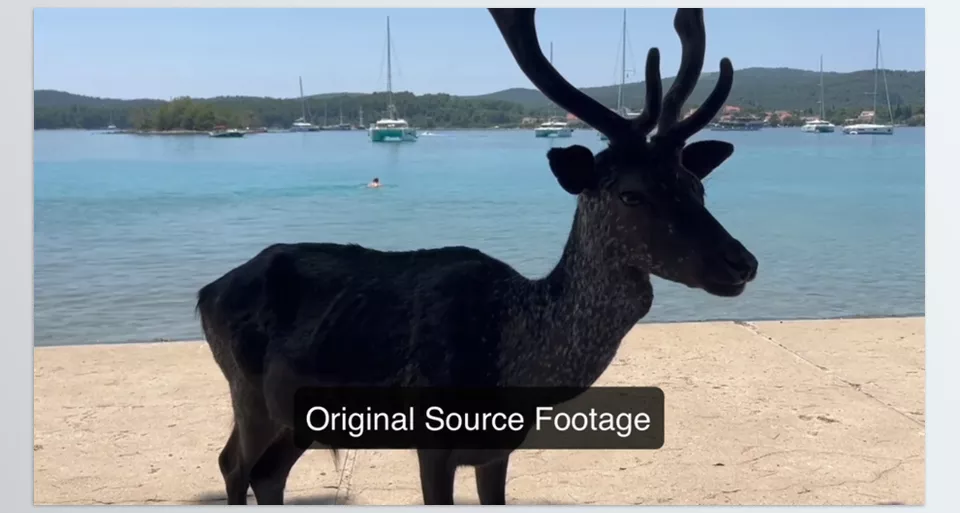 REVisionFX - Color Genius - Experience professional-level video enhancement with just a click.
