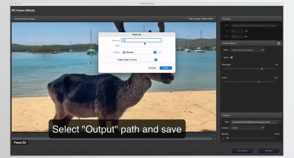 REVisionFX - Color Genius - Transform your footage with one-click automatic colour correction.