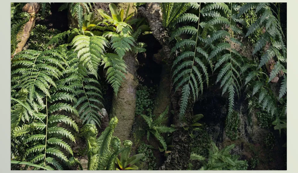 Maxtree - Plant Models Vol 82 - A diverse selection of plants, optimized for multiple 3D platforms.
