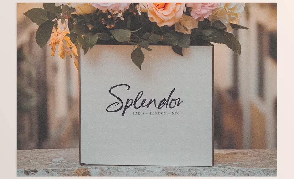A flowing, elegant script that brings sophistication and personality to any design, perfect for luxury branding or heartfelt messages.