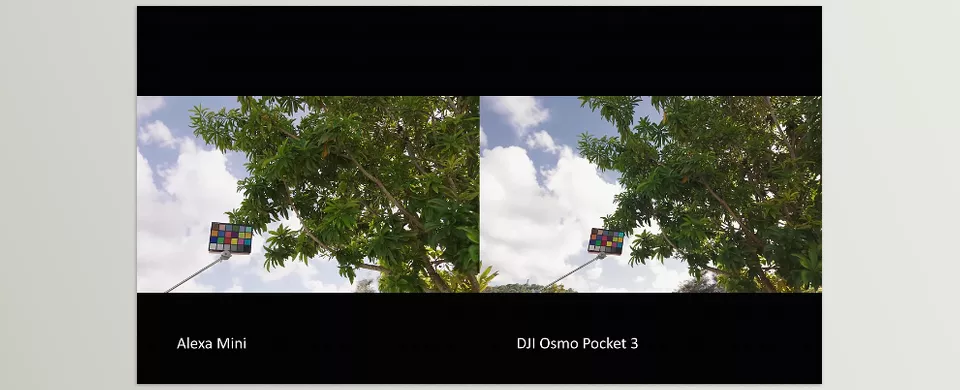 Phantom LUTs for Osmo Pocket 3 - Transform your footage with film-inspired LUTs, offering smooth highlights, balanced shadows, and stunning colors straight from your camera.