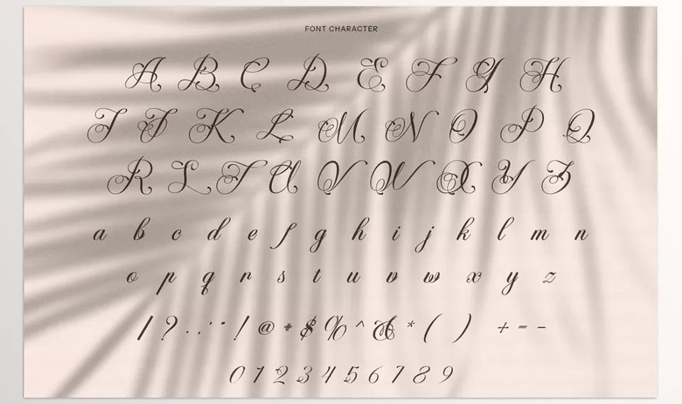 Bathsaida Calligraphy Script Font - Crafted with flowing curves and delicate flourishes, this typeface brings a refined, handcrafted touch to any project.