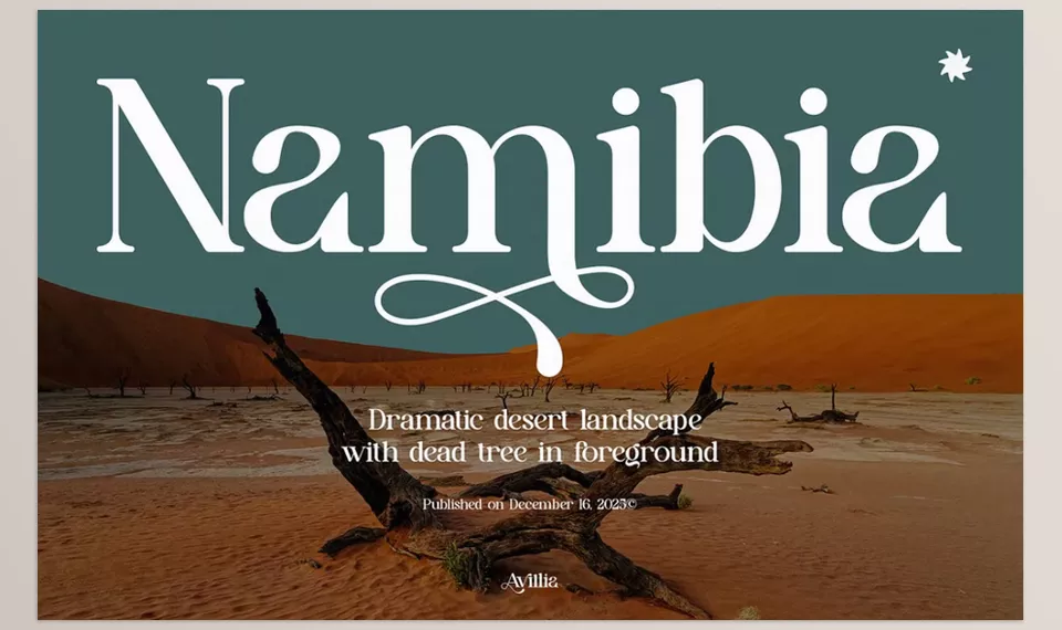 Avillia Elegant Serif Font - Use every application seamlessly with Avillia to give wings to your creativity.