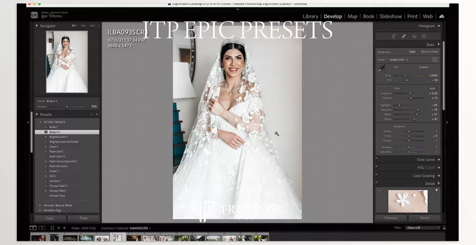 Igor Trifonov - Epic Presets Pack - These editing tools will come in handy when you need to elevate your photography as well as capture unforgettable moments.