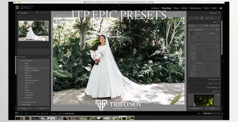 Igor Trifonov - Epic Presets Pack - Get the ultimate experience with the custom camera profiles designed specifically for Canon-specific cameras.