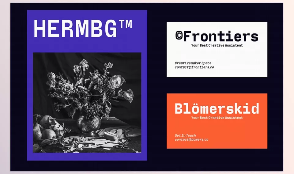 Creative Market - Wigola Mono Monospace Family - Tech precision meets modern elegance in this expansive font offering.