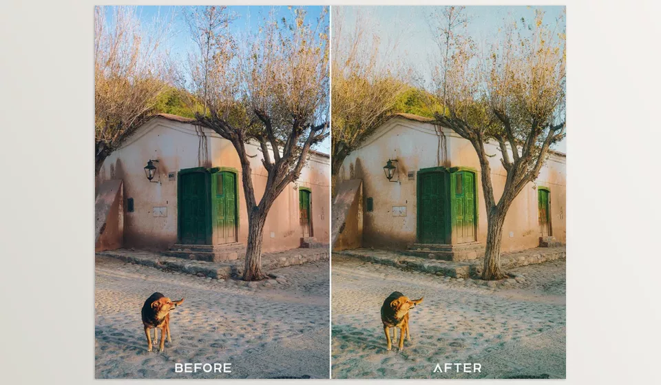 35MM Film Preset + Luts Collection - Breathe life back into your photos using classic 35mm film-inspired presets.
