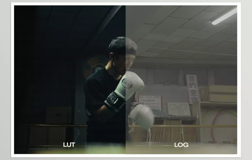 Apple iPhone Log Conversion LUT and Power Grade - Detail and flexibility bestowed onto video projects with a whole new level of treatment.