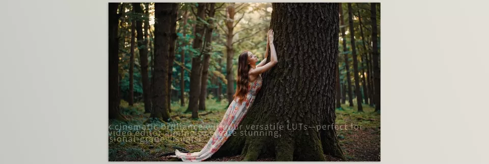 OpenAI Sora Videos Prompts and LUTs - Amplified results in professionalism with ease awaiting as you make use of our advanced color grading LUTs.