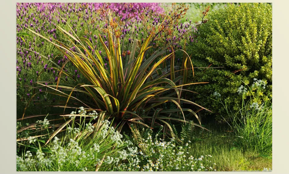 Maxtree - Plant Models Vol 61 - Optimized for seamless integration across a variety of popular 3D software platforms.