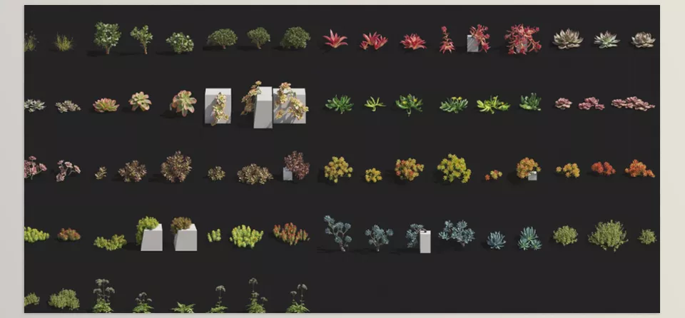 Maxtree - Plant Models Vol 14 - Bring your visual scenes to life with exquisitely detailed botanical realism.
