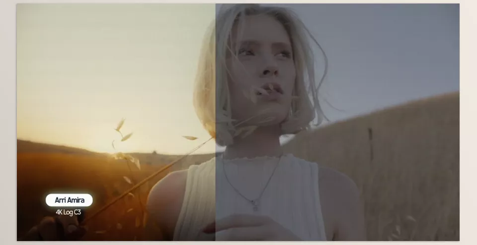 Ultimate Powergrade for Davinci Resolve - Explore various styles of rendering for each project, whether it be a vintage or natural look.