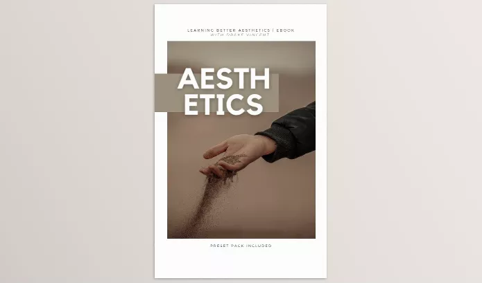 Drake Vincent – Building A Better Aesthetic Ebook + Presets Download