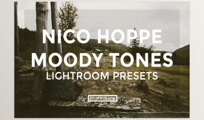 FilterGrade – Nico Hoppe Moody Tones Lightroom Presets Downloads
