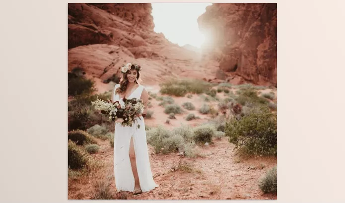 Twig and Olive Photography – Lightroom and ACR Presets Harvest Matte Download
