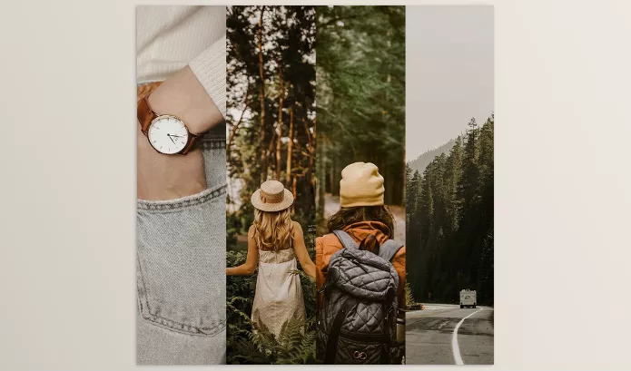 Jungle Presets – Minimal Brown Collection (LR Desktop and Mobile) Download