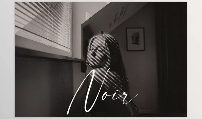 Kai Boettcher – Noir B and W Preset Pack Download