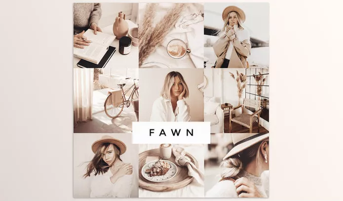 Loox Preset – Fawn Lightroom Presets Download