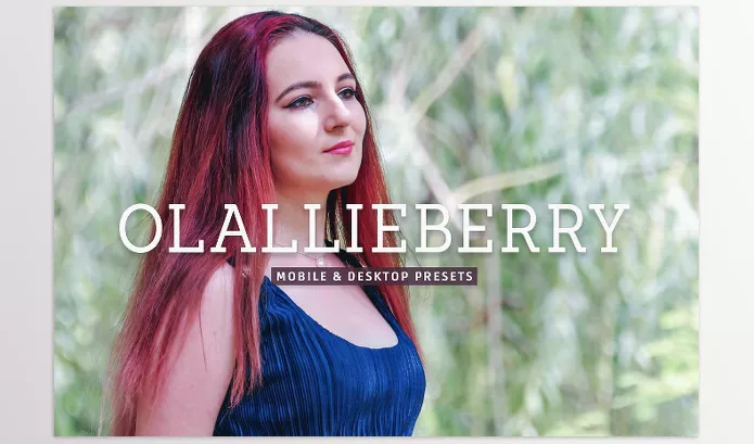 Creative Market – Olallieberry Pro Lightroom Presets Download 7473585 (XMP)
