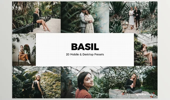 Artstation – 20 Basil LUTs and Lightroom Presets Download (U3F2WNV)