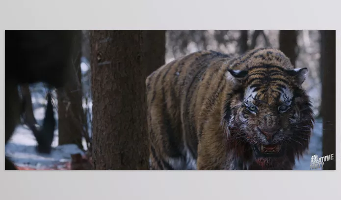 Peregrine Labs – Yeti Download v5.2.2 For Maya 2024-2026 (Win, Mac-v4.2.7)