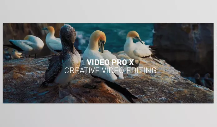 MAGIX – Video Pro X16 Download v22.0.1.260 (Win)