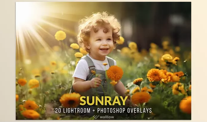 Creative Market – Sunlight photo overlays PNG and JPG Download 92002922