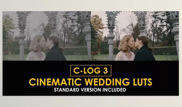 Videohive – C Log3 Cinematic Wedding and Standard Color LUTs Download 50930806