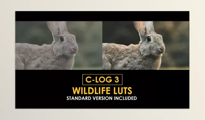 Videohive – C Log3 Wildlife and Standard Color LUTs Download 50930916