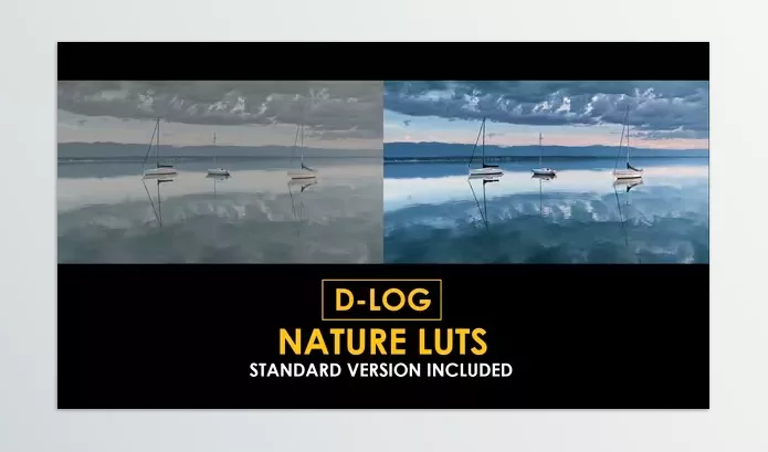 Videohive – D Log Cinema Drone Film Color LUTs Download 50930932