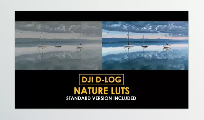 Videohive – D Log Nature Color LUTs Download 50930941