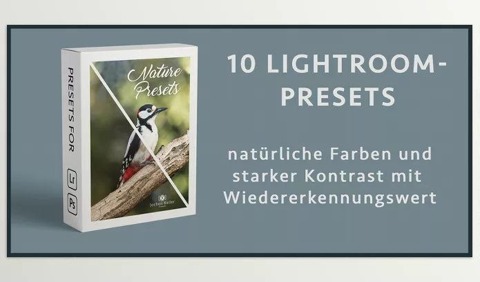 Kellerfoto – Nature Presets Download