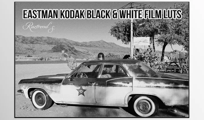 DesignBUNDELS.Net – Eastman Kodak Black and White Films LUTs Download