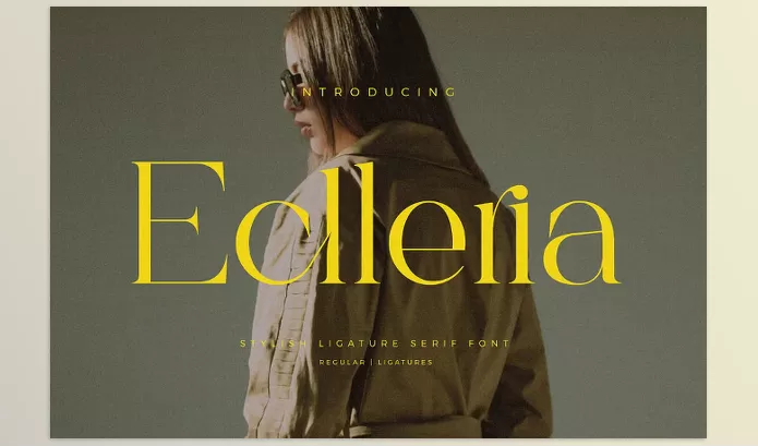 Creative Market – Eclleria Stylish Serif Font Download 289629821