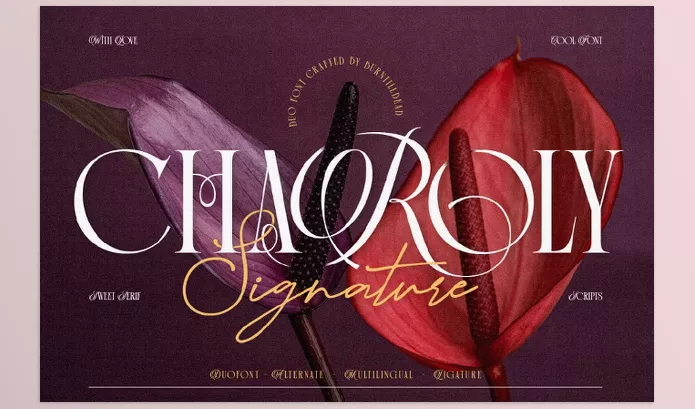 CreativeMarket – Charoly Signature Download 289660345