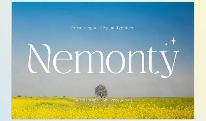Creative Market – Nemonty Minimalist Font Download 289629777